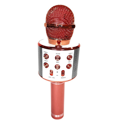 Микрофон караоке с колонкой WS-858 1